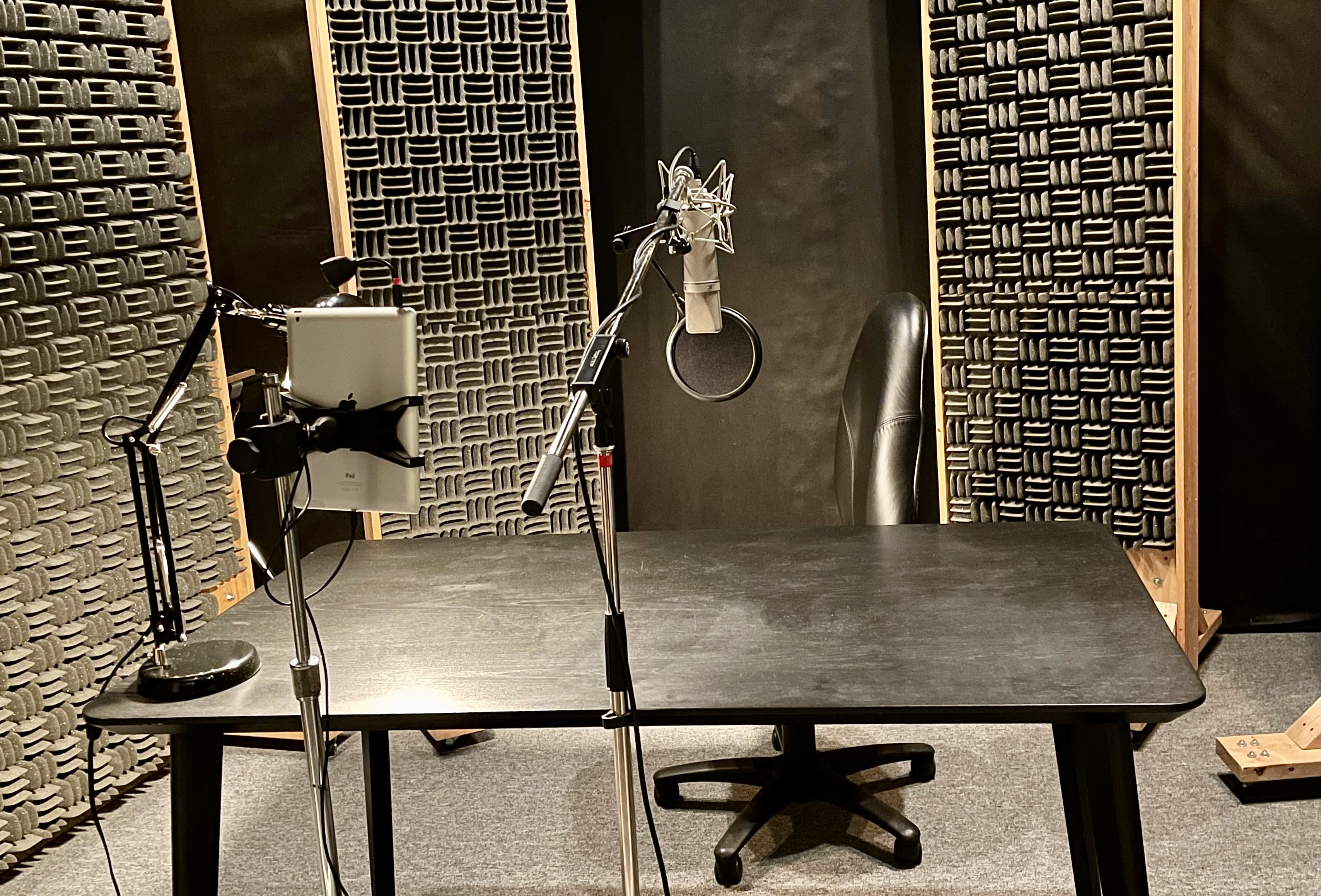 Voice over studio Edmonton